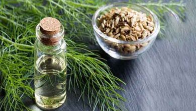 خواص اسانس رازیانه چیست؟ کاربرد، روش مصرف و قیمت خرید