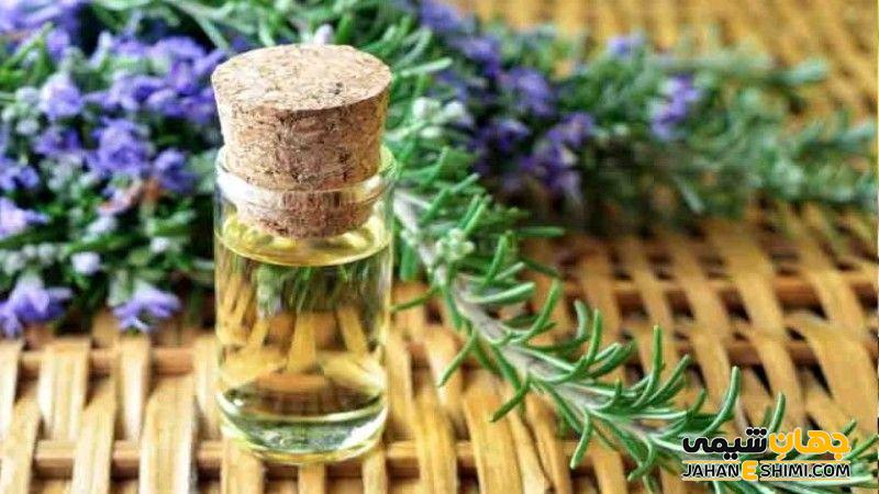 اسانس رزماری چه کاربرد هایی دارد