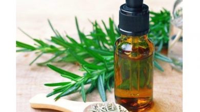 اسانس رزماری چیست؟ از خواص درمانی آن چه می دانیم؟
