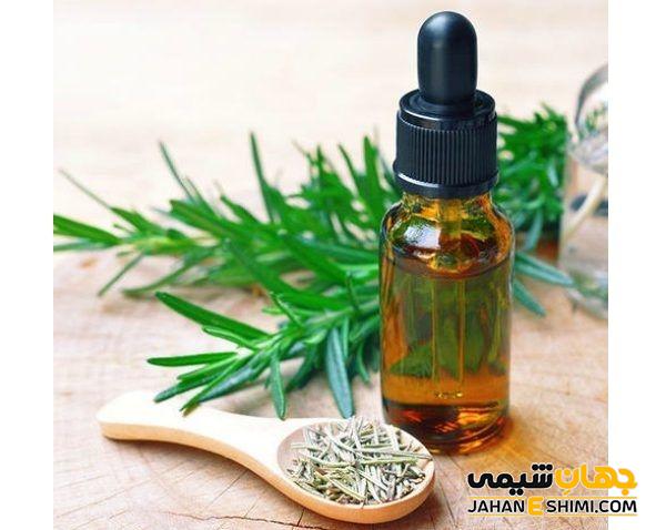 اسانس رزماری چیست؟ از خواص درمانی آن چه می دانیم؟