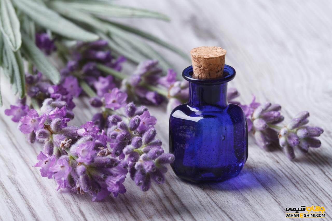اسانس لاوندر چیست و از خواص بی نظیر آن چه می دانید؟