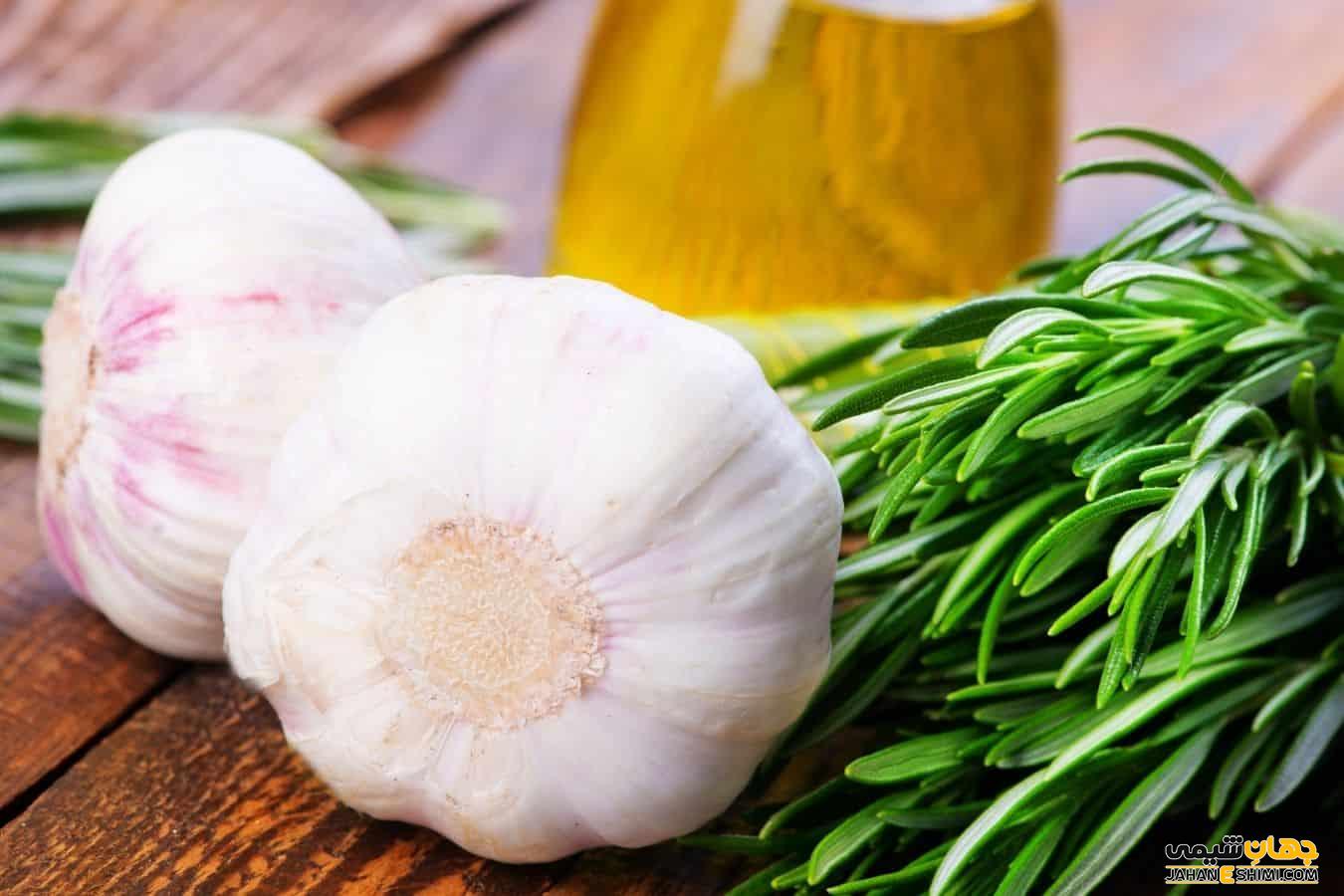 طرز تهیه اسانس سیر