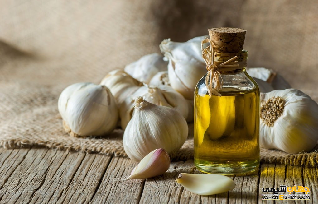 کاربرد اسانس سیر چیست؟ خواص و قیمت خرید و فروش آن