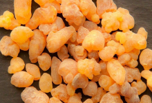 کاربرد اسانس یا عطرمایه سقز چیست؟ خواص و قیمت خرید و فروش آن