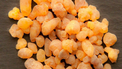 کاربرد اسانس یا عطرمایه سقز چیست؟ خواص و قیمت خرید و فروش آن