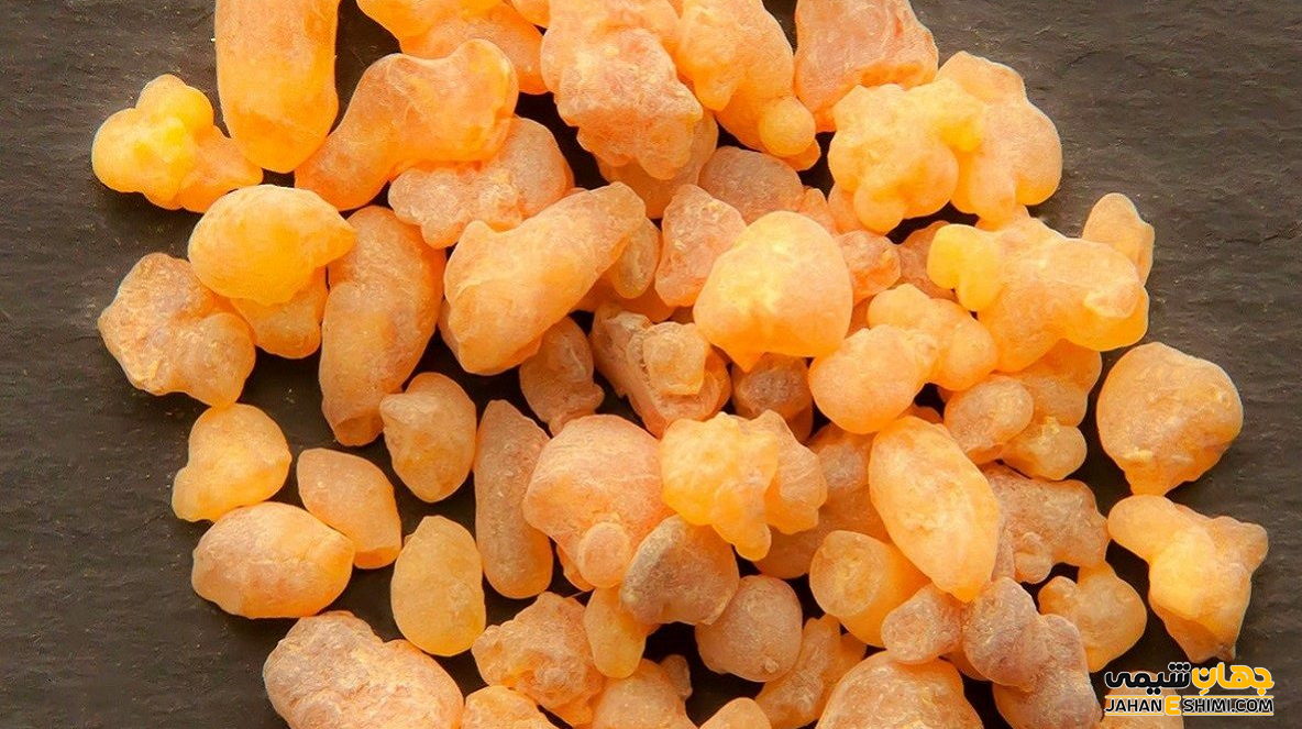 کاربرد اسانس یا عطرمایه سقز چیست؟ خواص و قیمت خرید و فروش آن