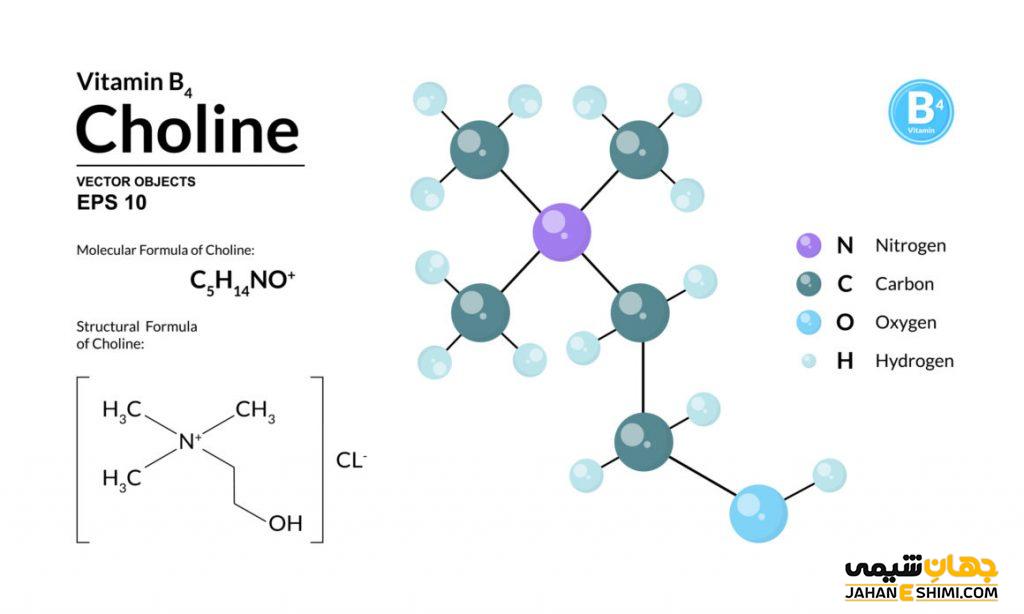 کولین چیست؟ چه فوایدی برای بدن دارد؟