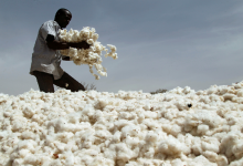 صابون پخت پنبه چیست؟ کاربرد و قیمت خرید و فروش آن