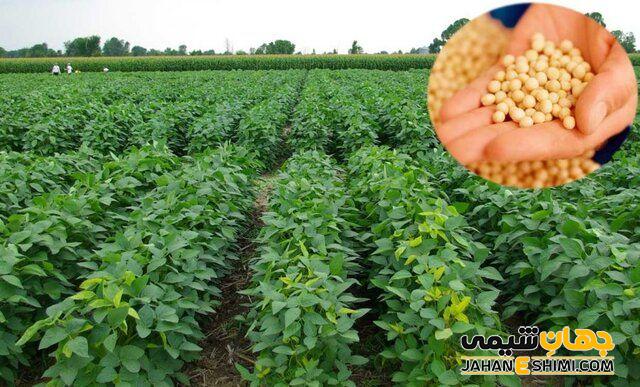 عوارض مصرف اسید چرب سویا