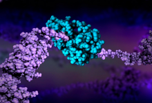 کاربرد آنزیم پروتئاز چیست؟ موارد مصرف و قیمت خرید و فروش آن