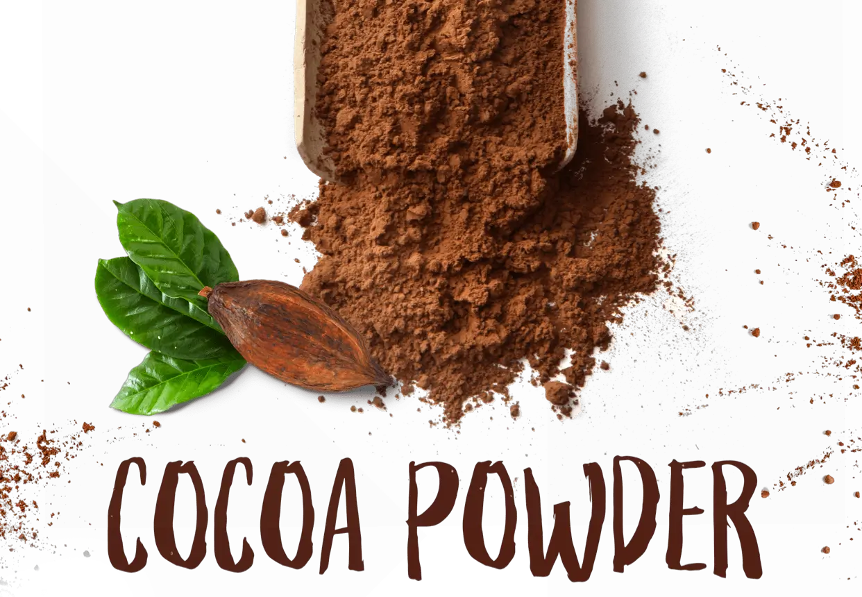 آشنایی با انواع پودر کاکائو و موارد استفاده و خرید پودر کاکائو
