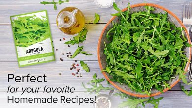 تخم جرجیر چیست و از خواص بی نظیر آن چه می دانید؟