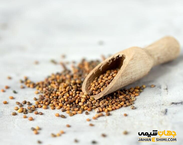 خواص تخم جرجیر