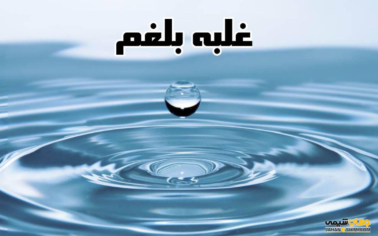 خودشناس مزاج بلغمی