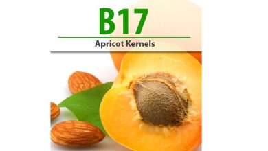 ویتامین B 17 یا آمیگدالین چیست؟ - خواص و عوارض آن