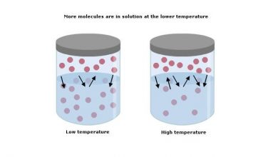 اثر دما بر انحلال پذیری مواد جامد، مایع و گاز چیست؟