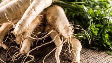 از گیاه شقاقل و خواص درمانی آن چه می دانیم؟