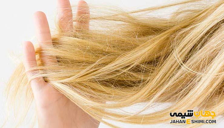 بهترین روش های خانگی درمان خشکی مو کدام است؟