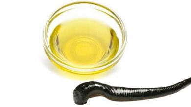 خواص روغن خراطین و زالو برای صورت چیست