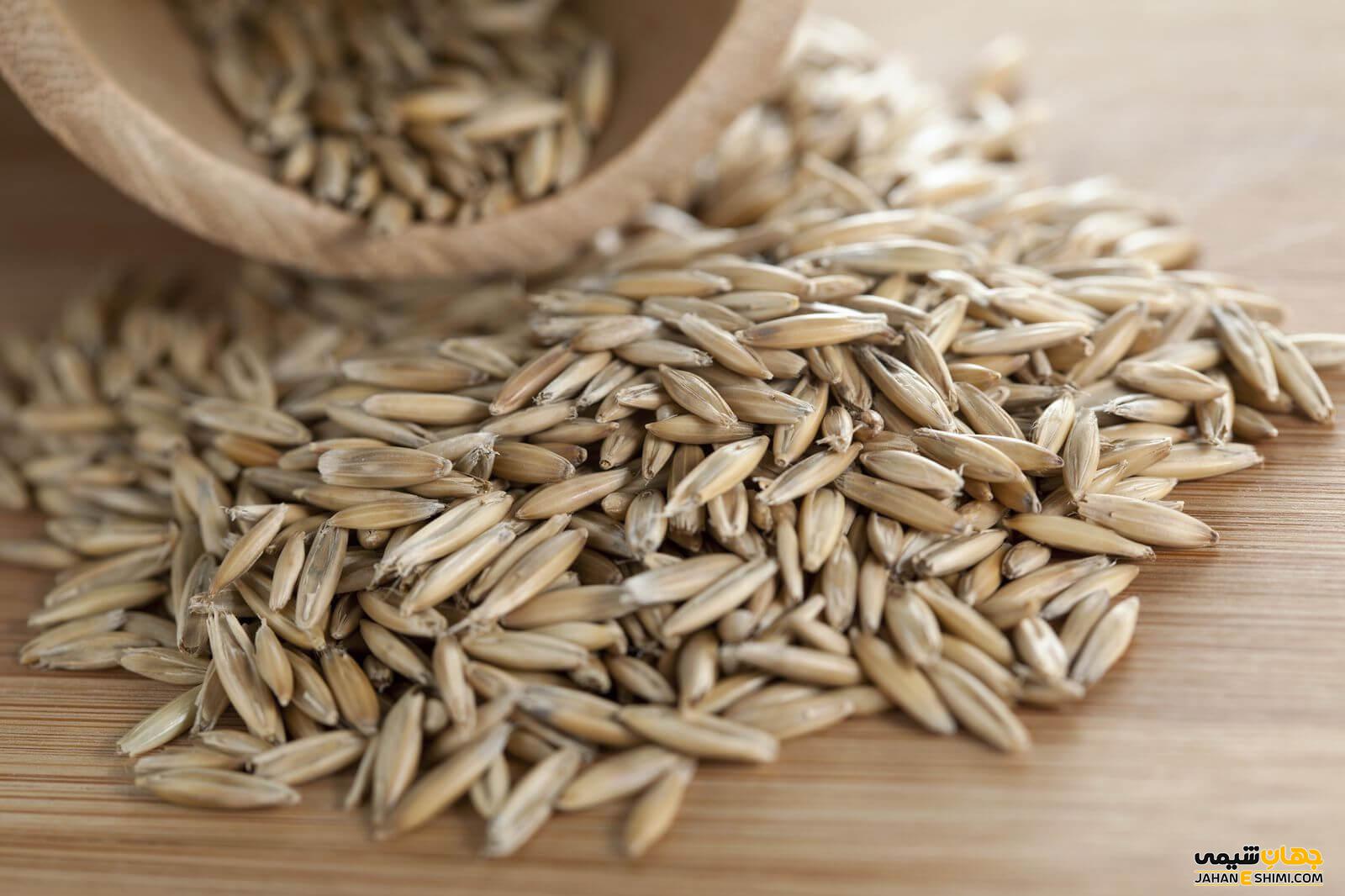 خواص چاودار در طب سنتی
