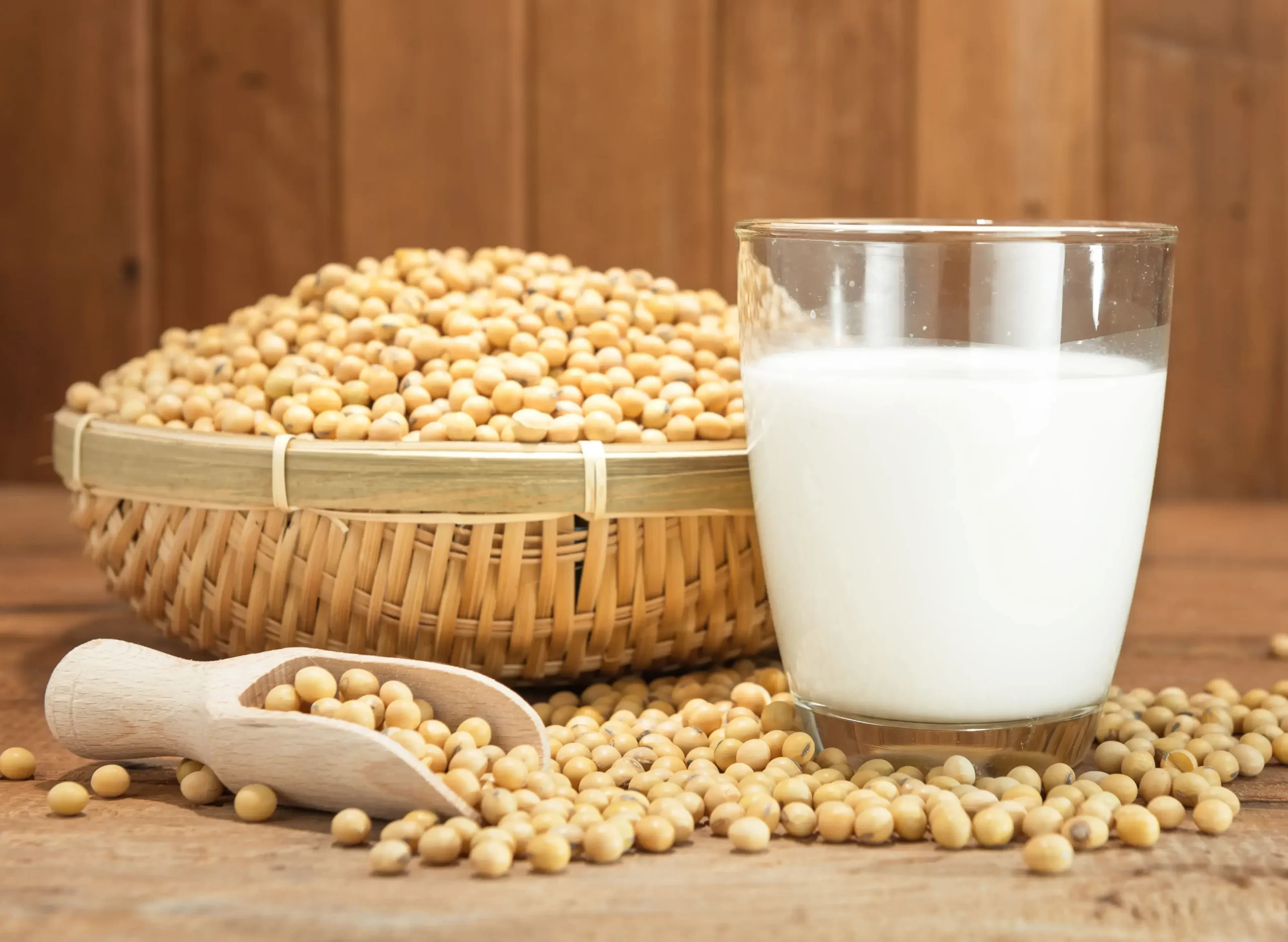 شیر سویا با چه غذایی ناسازگار است