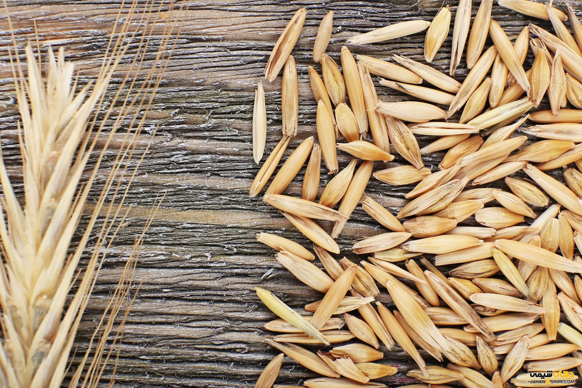 عوارض چاودار