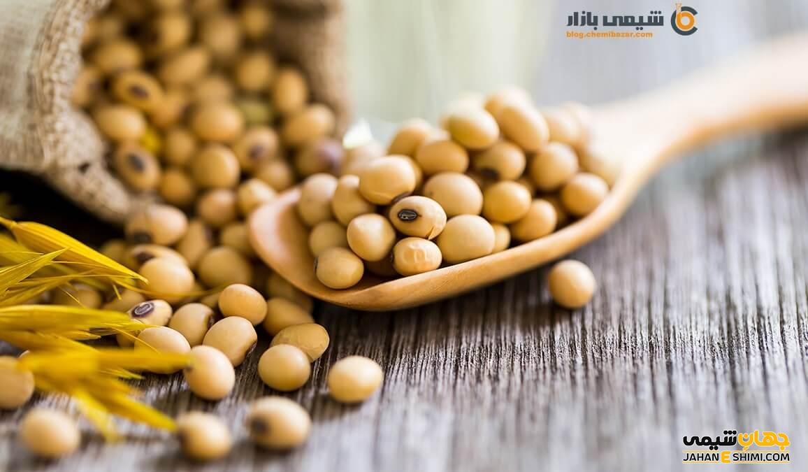 لسیتین سویا چیست؟ از خواص و کاربرد های آن چه می دانیم؟