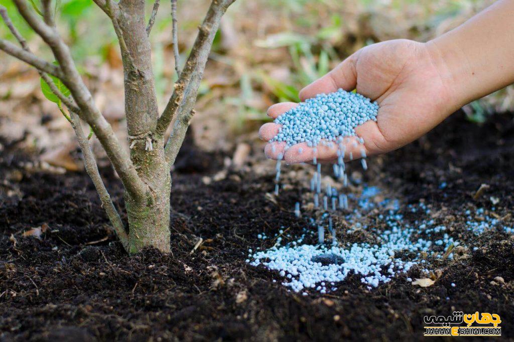 کاربرد کود سولفات آمونیوم ازته گرانوله چیست؟ مزایا مصرف آن