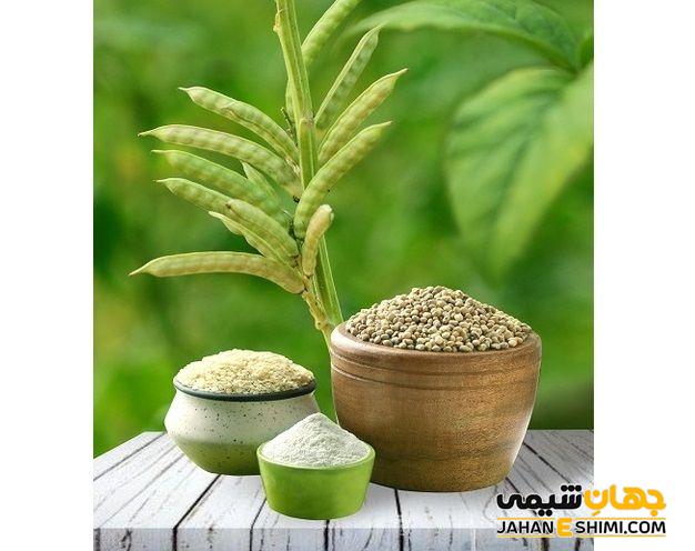 گوارگام چیست و چه واکنشی به شیر دارد؟