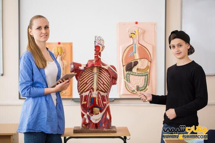 آناتومی بدن انسان چیست؟ - انواع آناتومی بدن | جهان شیمی فیزیک