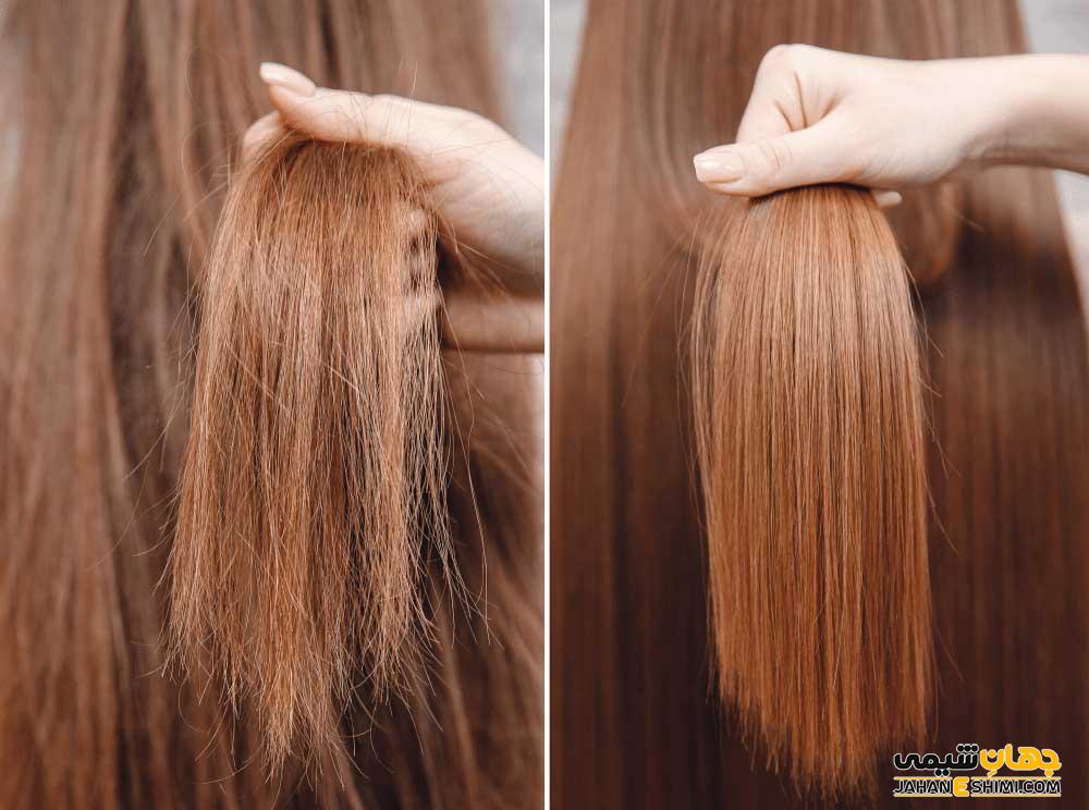 راهکارهای مراقبت از ساقه مو