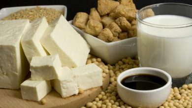 استخراج و تخلیص لسیتین سویا و تخم مرغ چگونه است؟