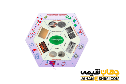 انواع پلیمرهای طبیعی