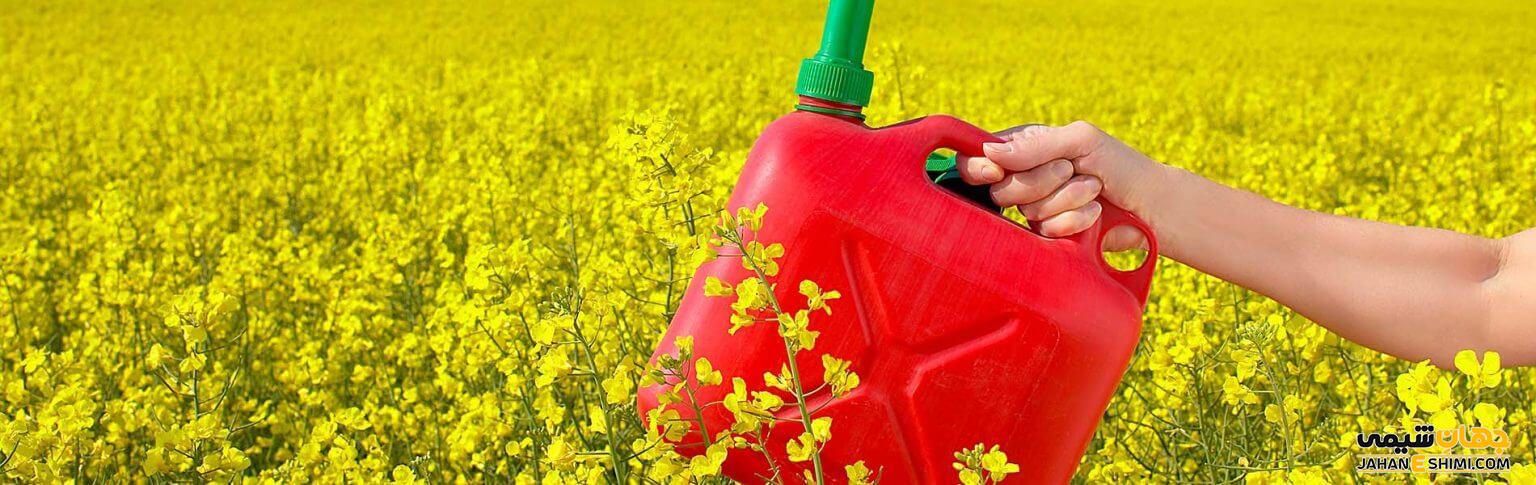 بیودیزل یا سوخت زیست دیزل