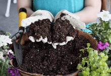 خاک گیاهی چیست؟ - ویژگی ها و کاربردهای آن