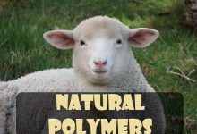 پلیمرهای طبیعی چیست؟ - خواص و انواع آن