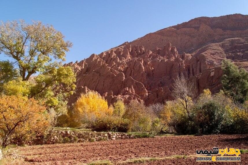 زیستگاه های بیابانی