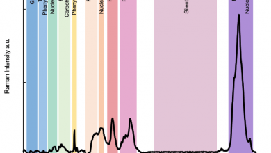 ویژگی خطوط رامان تفسیر طیف + مثال آن را بیان کنید؟