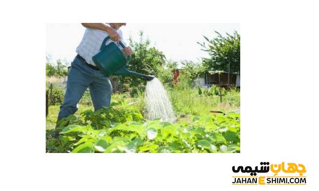 آب مناسب برای آبیاری گیاهان