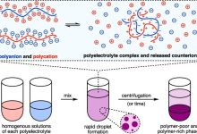 انواع پلی الکترولیت چیست؟