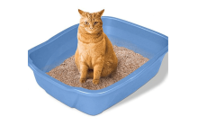 بنتونیت بستر گربه چیست و چه کاربردی دارد؟