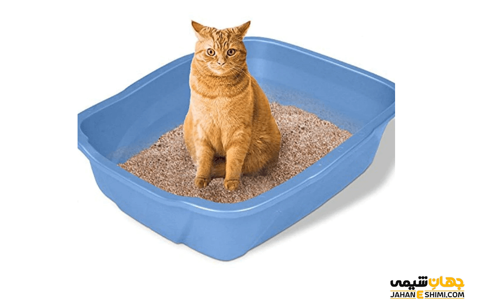 بنتونیت بستر گربه چیست و چه کاربردی دارد؟