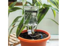 بهترین آب برای گیاهان چیست؟