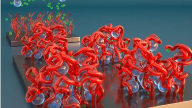 تفاوت پلی الکترولیت کاتیونی و آنیونی چیست؟