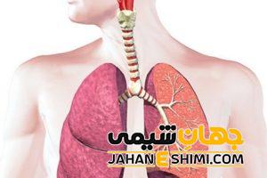 دلایل مهم خس خس سینه | 5 در مان فوری خس خس سینه