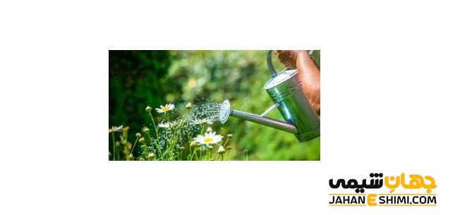 مقدار آب مورد نیاز برای گیاهان خانگی