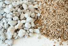 پرلیت و ورمیکولیت، کدام بهتر است؟