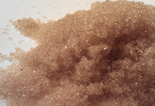 احیای رزین آنیونی و کاتیونی