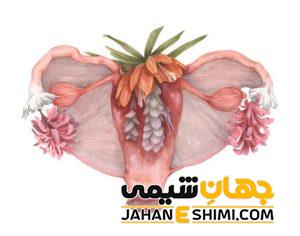 5 دلیل نارسایی تخمدان چیست؟ | دارو و درمان نارسایی تخمدان