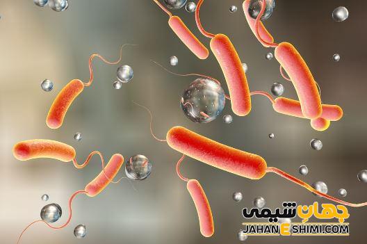 راههای انتقال بیماری وبا